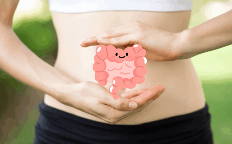  Saúde intestinal e probióticos: desmistificando mitos comuns
