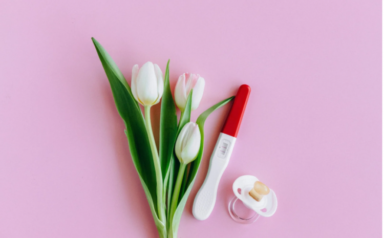  Os benefícios da suplementação de probióticos para a fertilidade feminina