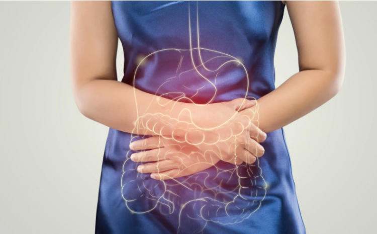  Do laboratório ao intestino: os desafios da estabilidade e biodisponibilidade de probióticos