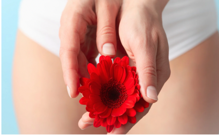  Probióticos na prevenção de infecções urogenitais recorrentes