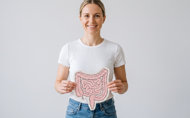  A influência do intestino sobre os hormônios femininos: o papel do estroboloma